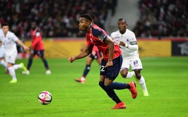 球的快速发 球的快速发